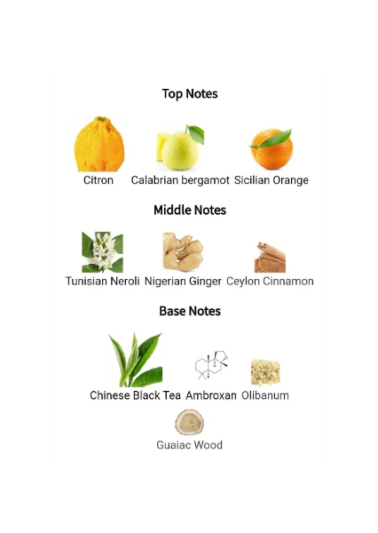 Louis Vuitton - Imagination